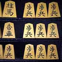 竹風作・水無瀬書・御蔵島黄楊将棋駒・桐平箱入り★金蘭駒袋入り 71sncFrI3+L._AC_SY200_QL15_.jpg